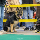 20251115_UCFAS_2048p_17