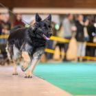 20251115_UCFAS_2048p_170