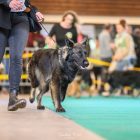 20251115_UCFAS_2048p_171