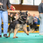 20251115_UCFAS_2048p_172