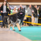 20251115_UCFAS_2048p_173