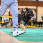 20251115_UCFAS_2048p_174