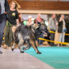 20251115_UCFAS_2048p_175