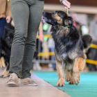 20251115_UCFAS_2048p_176