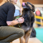 20251115_UCFAS_2048p_177