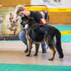 20251115_UCFAS_2048p_179