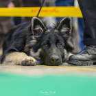 20251115_UCFAS_2048p_18