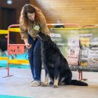 20251115_UCFAS_2048p_180