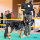 20251115_UCFAS_2048p_184