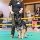 20251115_UCFAS_2048p_185