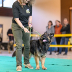 20251115_UCFAS_2048p_186