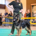 20251115_UCFAS_2048p_187