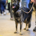 20251115_UCFAS_2048p_189