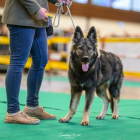 20251115_UCFAS_2048p_19