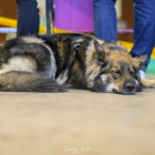 20251115_UCFAS_2048p_190