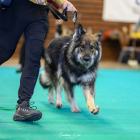 20251115_UCFAS_2048p_193