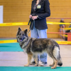 20251115_UCFAS_2048p_194