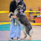 20251115_UCFAS_2048p_196