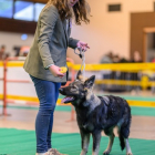 20251115_UCFAS_2048p_20