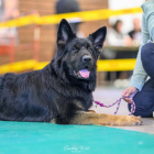 20251115_UCFAS_2048p_207