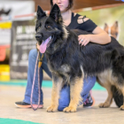 20251115_UCFAS_2048p_208