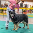 20251115_UCFAS_2048p_210