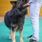 20251115_UCFAS_2048p_211