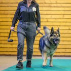 20251115_UCFAS_2048p_214