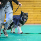 20251115_UCFAS_2048p_215