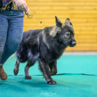 20251115_UCFAS_2048p_216