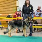 20251115_UCFAS_2048p_217