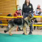 20251115_UCFAS_2048p_218