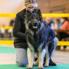 20251115_UCFAS_2048p_220