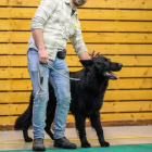 20251115_UCFAS_2048p_223