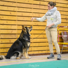 20251115_UCFAS_2048p_227