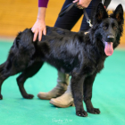 20251115_UCFAS_2048p_23