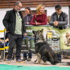 20251115_UCFAS_2048p_231