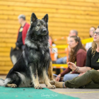 20251115_UCFAS_2048p_234