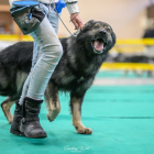 20251115_UCFAS_2048p_236