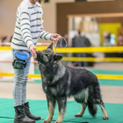 20251115_UCFAS_2048p_237