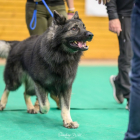 20251115_UCFAS_2048p_238