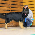 20251115_UCFAS_2048p_240