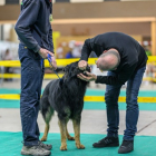 20251115_UCFAS_2048p_241