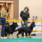 20251115_UCFAS_2048p_249