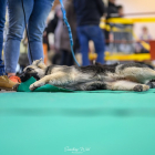 20251115_UCFAS_2048p_25