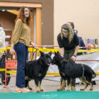 20251115_UCFAS_2048p_250