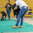 20251115_UCFAS_2048p_253