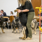 20251115_UCFAS_2048p_254