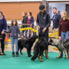 20251115_UCFAS_2048p_256