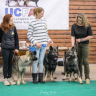 20251115_UCFAS_2048p_259